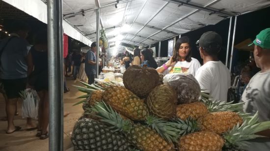 ESPECIAL – A Reforma Agrária demonstra sua força produtiva e sustentável em feira realizada em Palmas